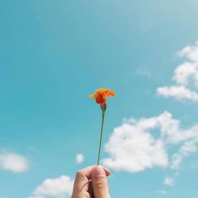 AOA体育登录入口