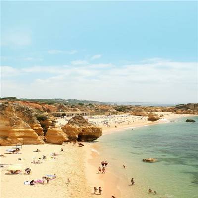 半岛综合官网App