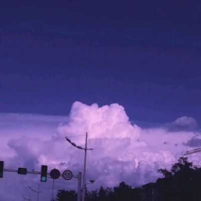 森林舞会游戏下