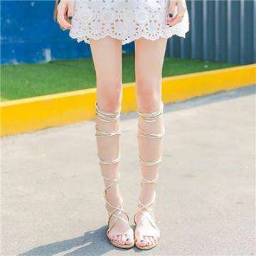 博鱼boyu体育官方网站